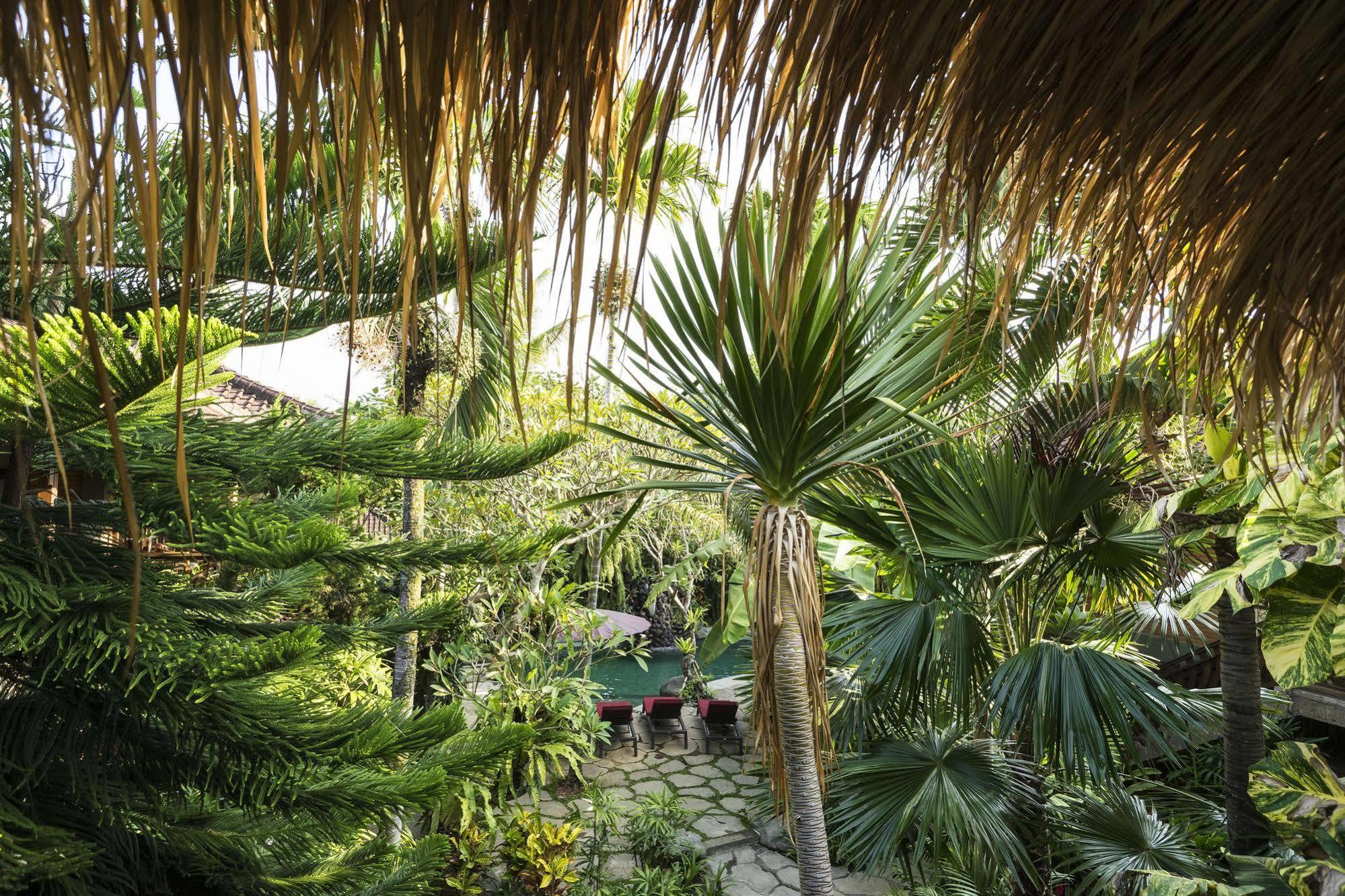 Adi Cottage Ubud  Bagian luar foto